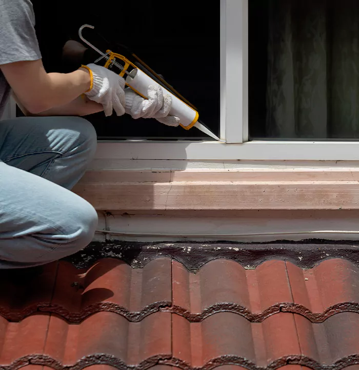 Roof Window Services in The Crossings, Florida