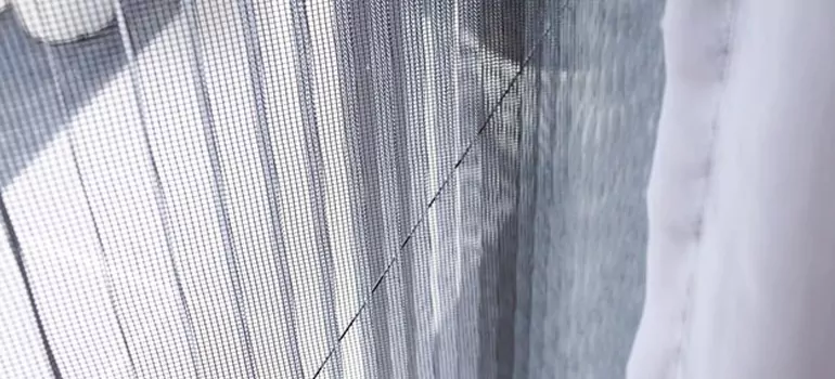 Fixing Screen Window Mesh in The Crossings, FL