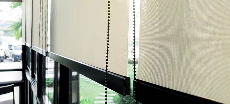 Blackout Window Shades in The Crossings, FL
