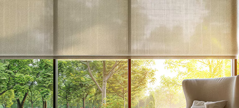Custom Window Shades in The Crossings, FL