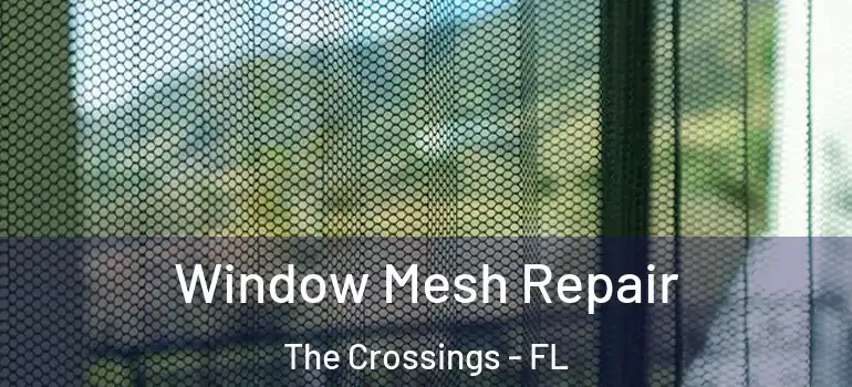  Window Mesh Repair The Crossings - FL